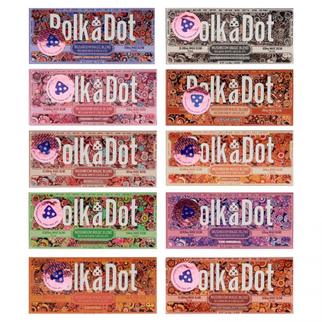 Polk A Dot Magic Blend Mushroom 500mg Chocolate Bar
